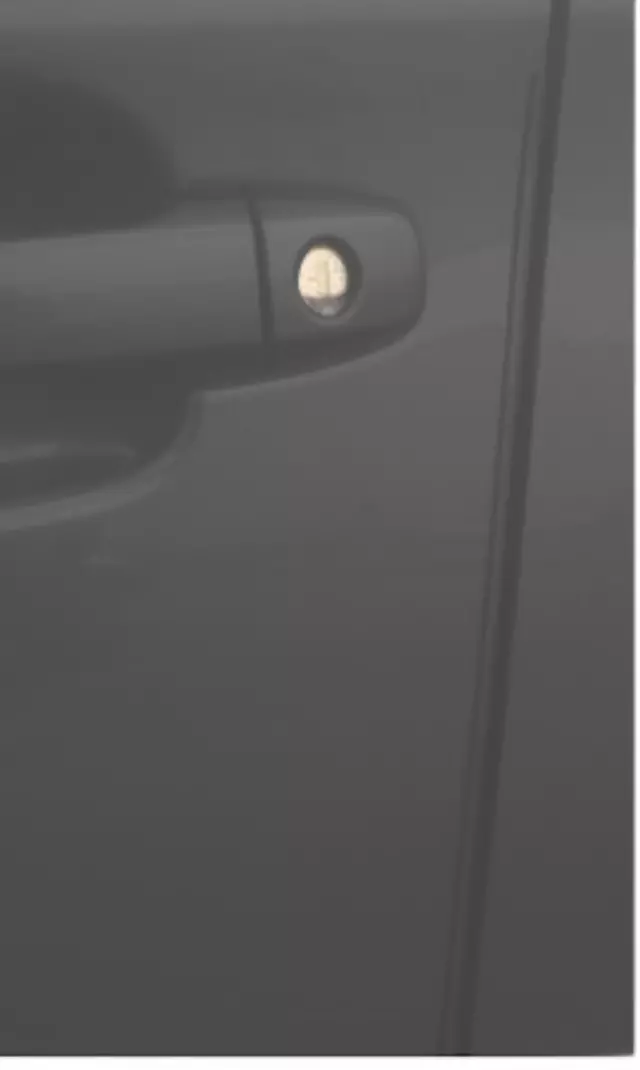 Door Edge Guard Kit - Carbide Gray Metallic