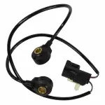 Ignition Knock (Detonation) Sensor