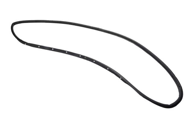 Rear Driver Side Door Weatherstrip