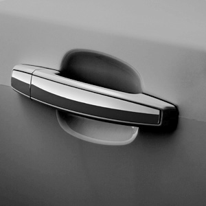 Front and Rear Door Handles in Silver Ice Metallic with Chrome Strip