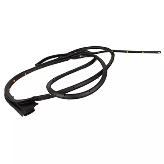 2015-2022 Ford Door Weather-Strip FL3Z-1625324-A | OEM Parts Online
