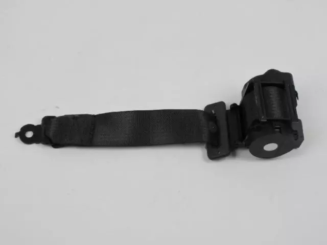 Center Belt Assembly