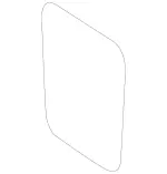 Circumferential Seal