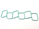 Manifold Gasket