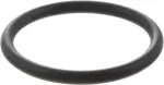 Engine Coolant Pipe O-Ring