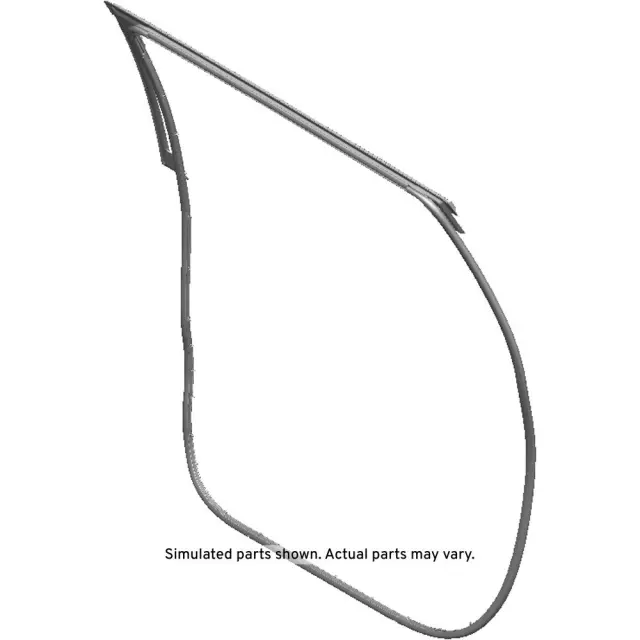 Rear Passenger Side Door Weatherstrip