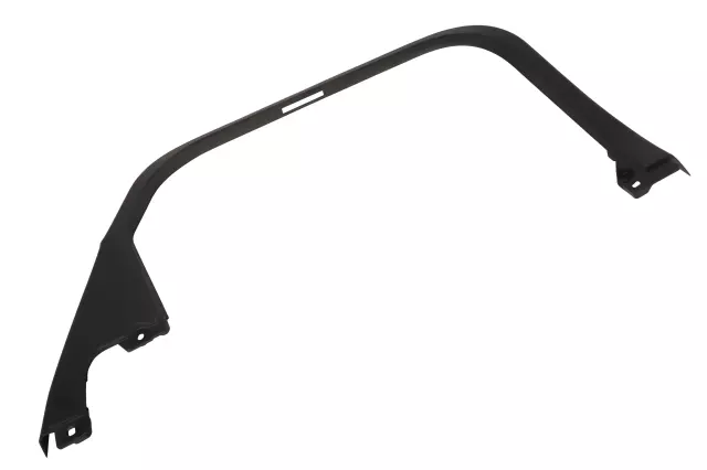 Rear Driver Side Door Window Garnish Molding