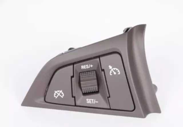 Cocoa Cruise Control Switch