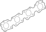Manifold Gasket