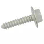 Front Dr Speaker Screw