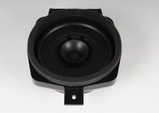 Front Dr Speaker