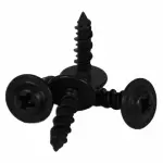 2003-2016 Ford - Tail Lamp Assembly Screw