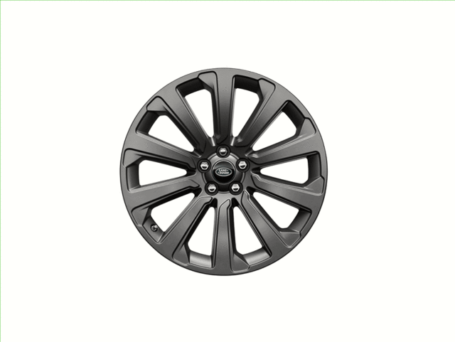 Alloy Wheel, 21 Inch 10 Spoke, Style 1033