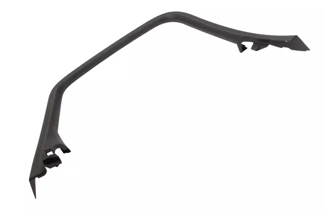 Driver Side Door Window Garnish Molding