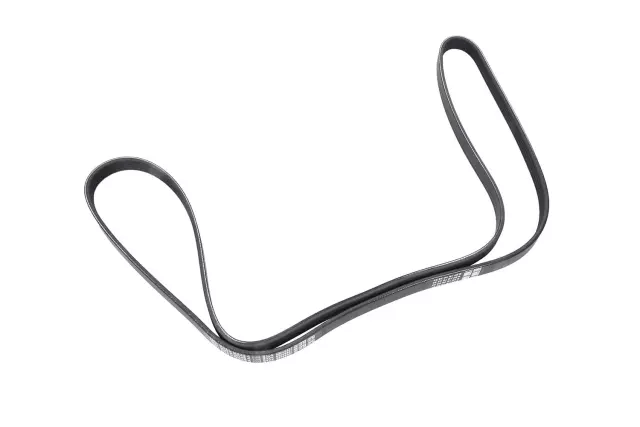 Amazon.com: ACDelco GM Original Equipment 12654472 V-Ribbed