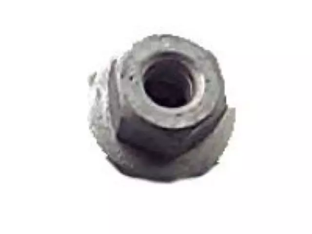 Roof Lamp Assembly Nut