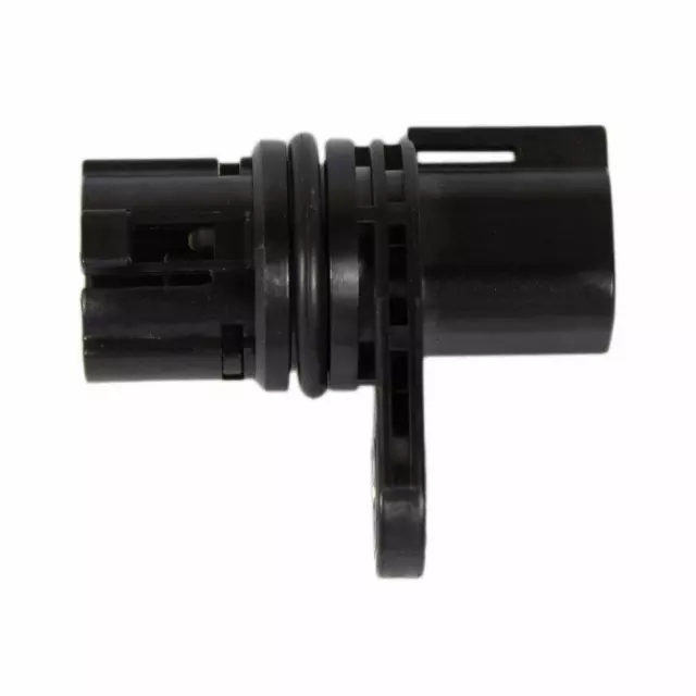 last sale！ Brocks Performance Sidewinder 20
