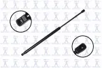 Focus Auto Parts Tailgate Lift Support