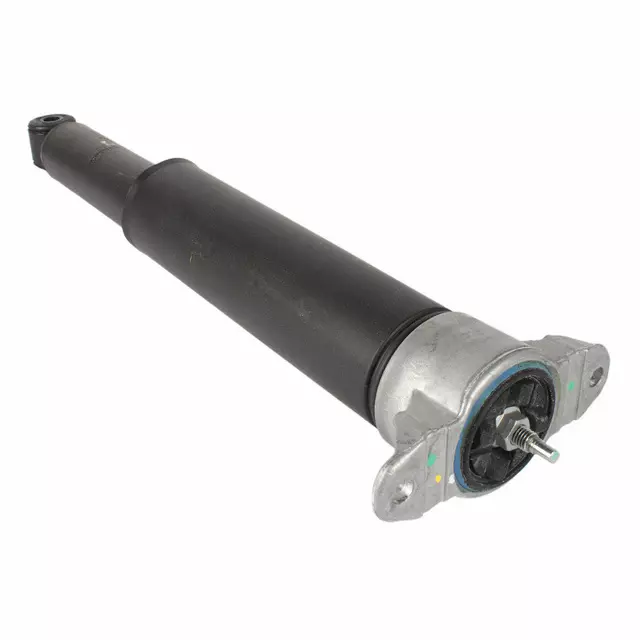 CV6Z-18125-L - Shock Assembly 2013-2018 Ford Focus | Ford Parts Direct