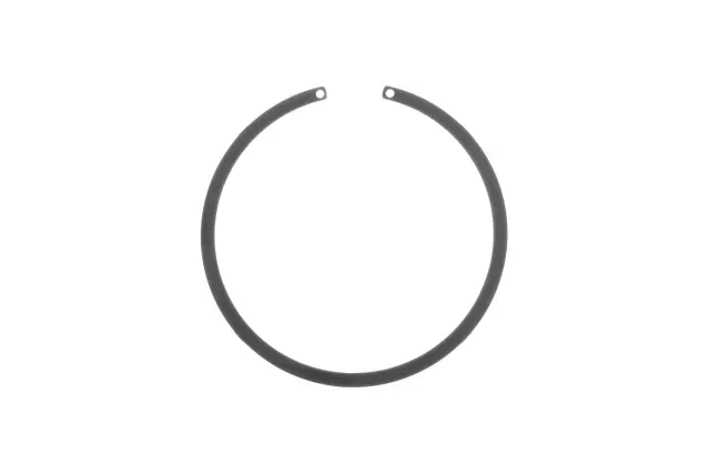 Fuel Tank Sending Unit Lock Ring