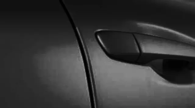 Door Edge Guards - Stargazer Black Metallic