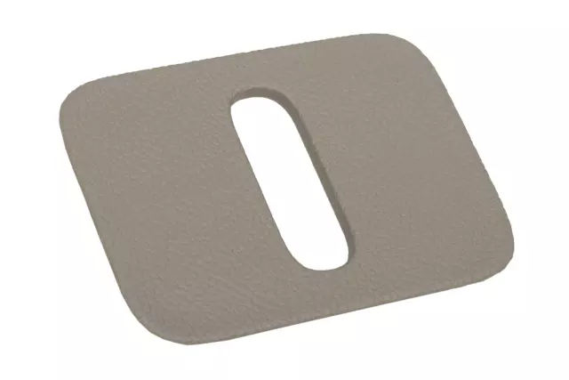 2015-2020 GM - Shale Liftgate Lock Striker Cover