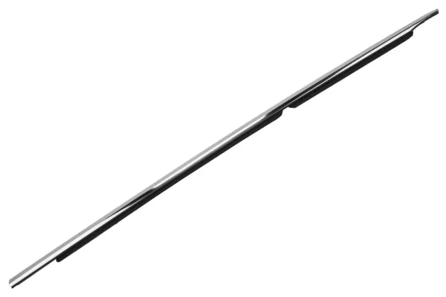 Passenger Side Rear Door Window Belt Molding