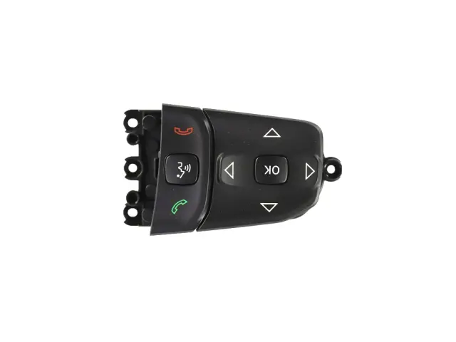 Speed Control Switch, Left