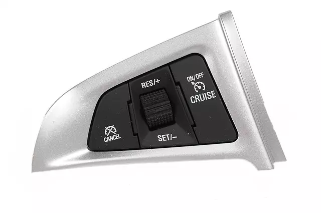 Jet Black and Ice Blue Cruise Control Switch