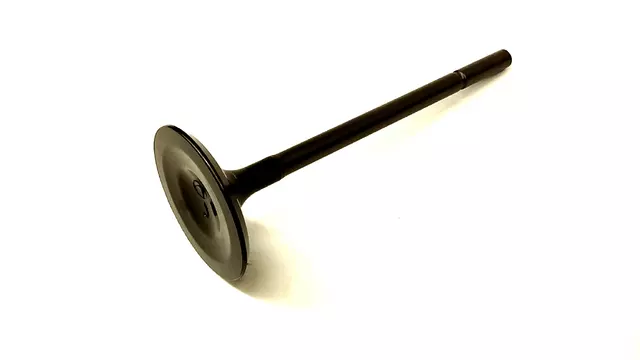 Intake Valve