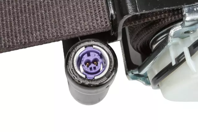 Cocoa Passenger Side Seat Belt