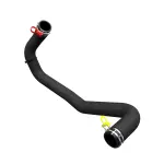 Radiator Outlet Hose