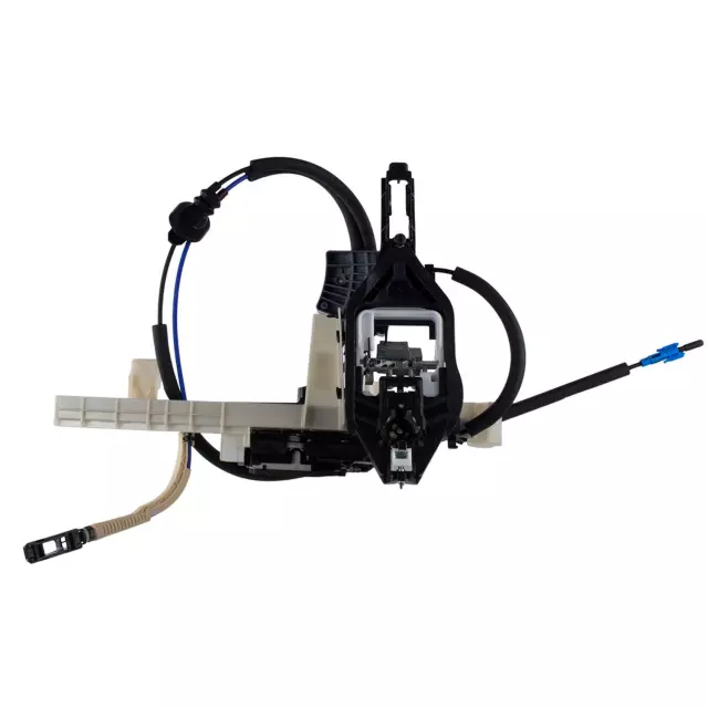 2021-2025 Ford Latch Assembly NL3Z-15219A65-C | OEM Parts Online