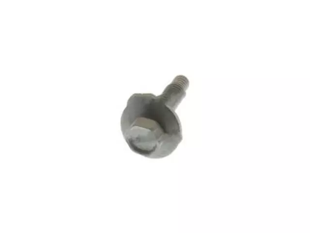 Fuel Door Screw