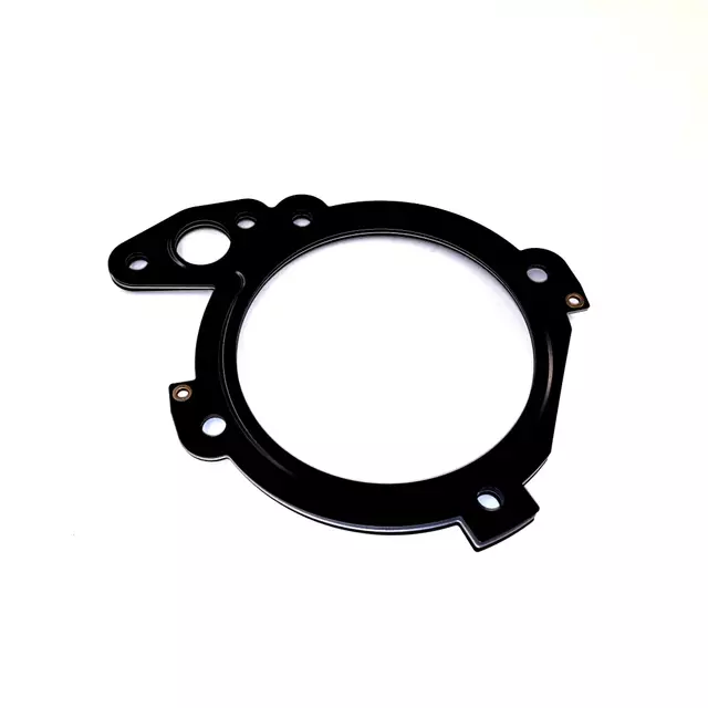 Fuel Injection Throttle Body Mounting Gasket