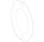 Circumferential Seal