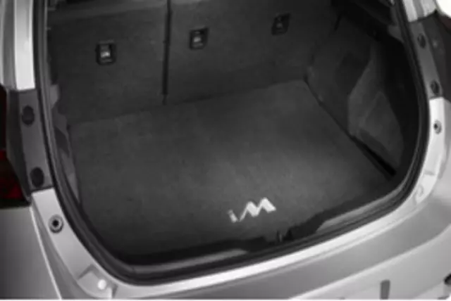 Cargo Mat, Carpet - Scion (PT926-12161-20)