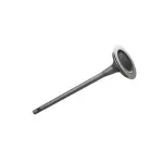Exhaust Valve
