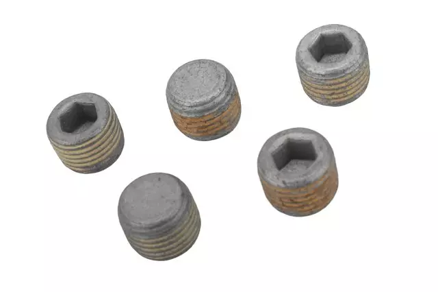 Multi-Purpose Bolt - GM (11095512)