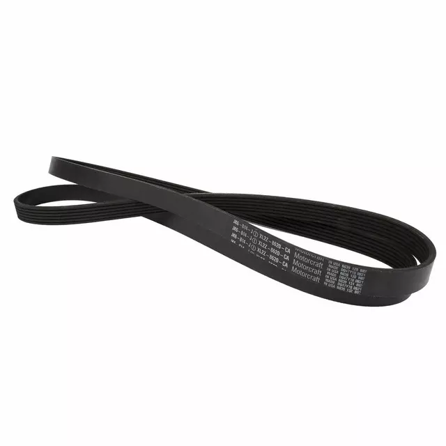 Serpentine Belt