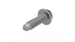 Hex Head Screw