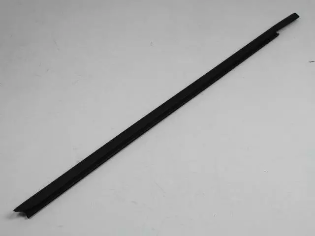 Rear Door Belt Outer Weatherstrip, Right