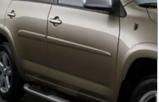 Molding, Body Side, Pyrite Mica