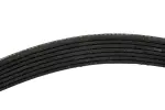 Serpentine Belt