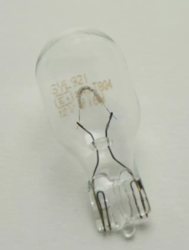 1990-2023 Lexus - Backup Lamp Bulb