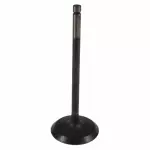 Intake Valve