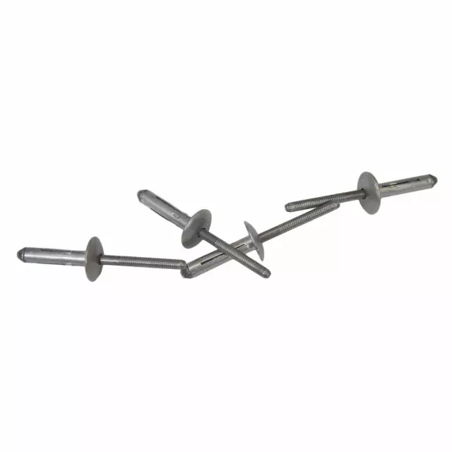 ★MIDNIGHT 89 rivet t W705297-S300 - License Bracket Rivet - 2001-2020 Ford