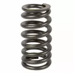 1992-2019 Ford - Valve Springs