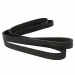 Serpentine Belt