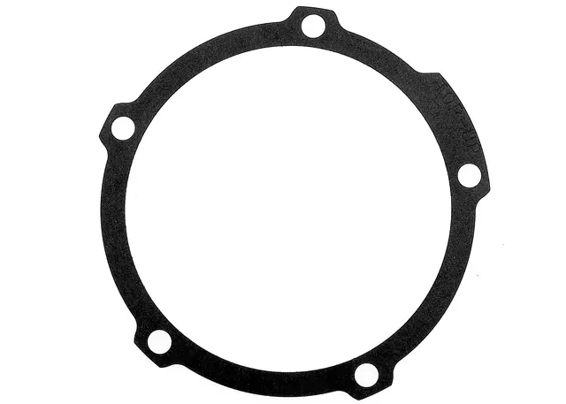 Acdelco™ Engine Water Pump Gasket